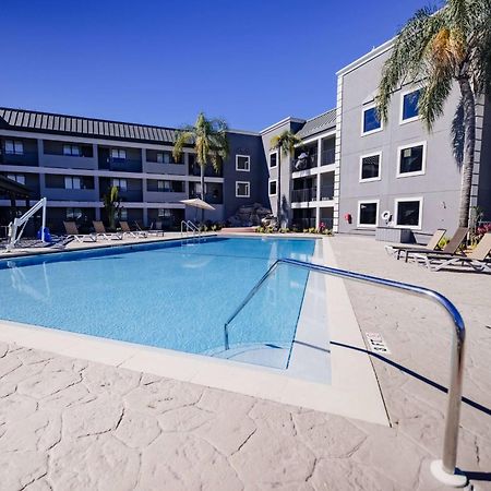 La Quinta Inn By Wyndham Tampa Near Busch Gardens Buitenkant foto
