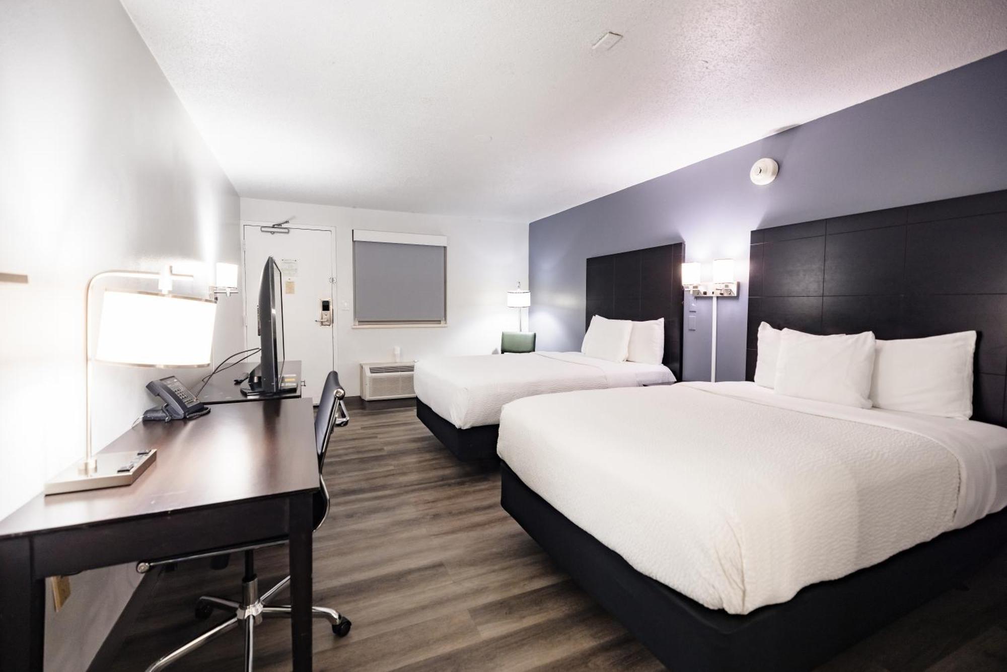 La Quinta Inn By Wyndham Tampa Near Busch Gardens Buitenkant foto